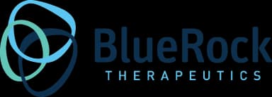BlueRock Logo