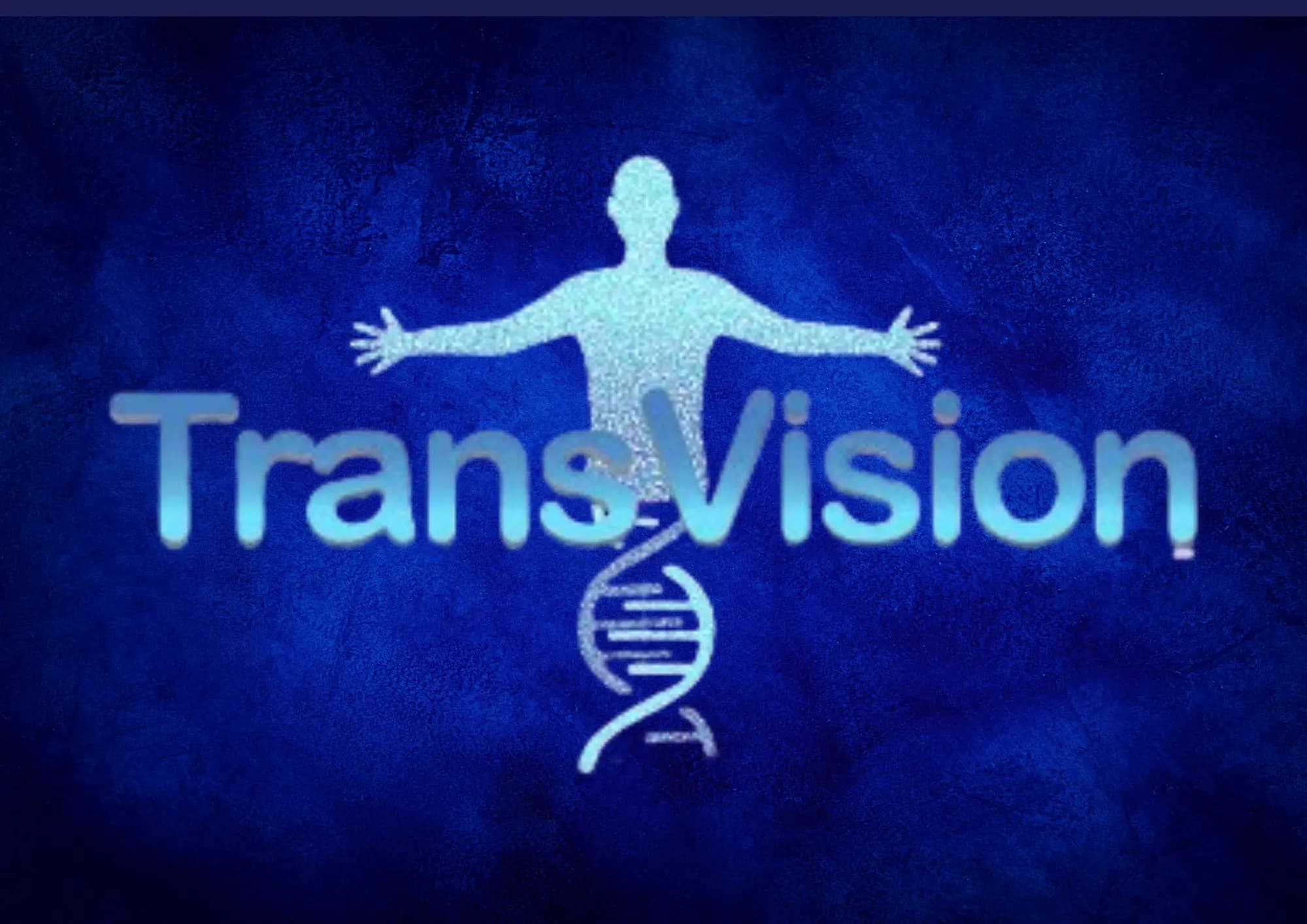 TransVision