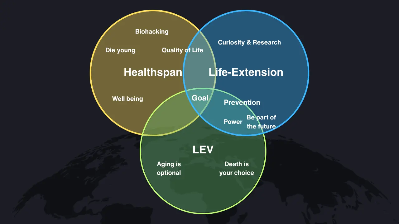 Longevity Map Diagram