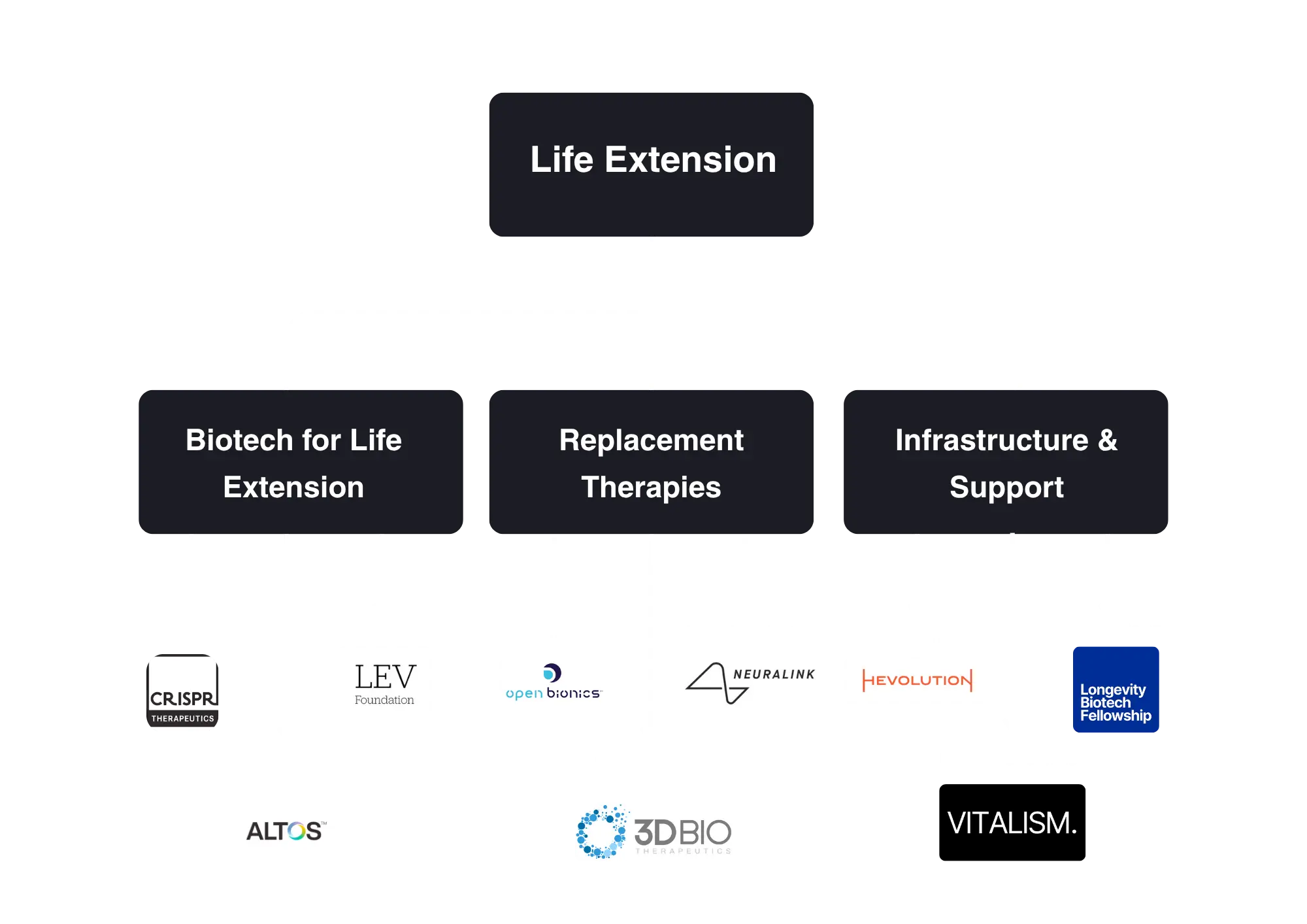 Longevity Field Structure Diagram